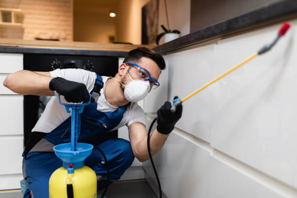 Reliable Bay Harbor Islands, FL Pest Control Solutions