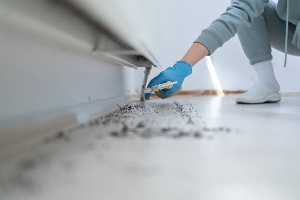 Best Residential Pest Control  in Bay Harbor Islands, FL